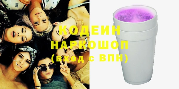 круглые Гусев