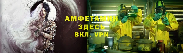 круглые Гусев