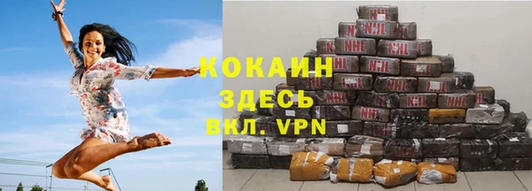 круглые Гусев