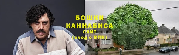 круглые Гусев
