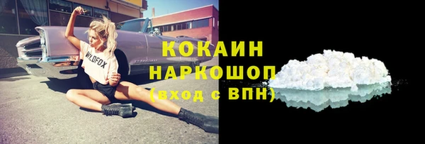 круглые Гусев