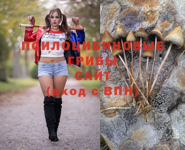 кокс Гусь-Хрустальный