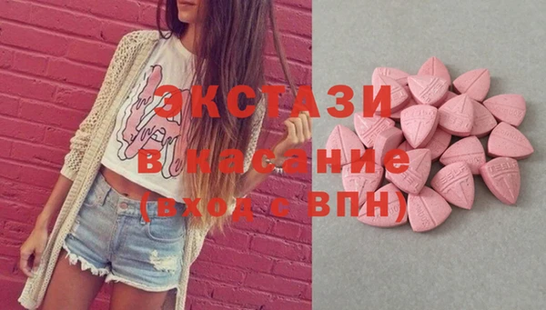 круглые Гусев