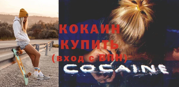 круглые Гусев
